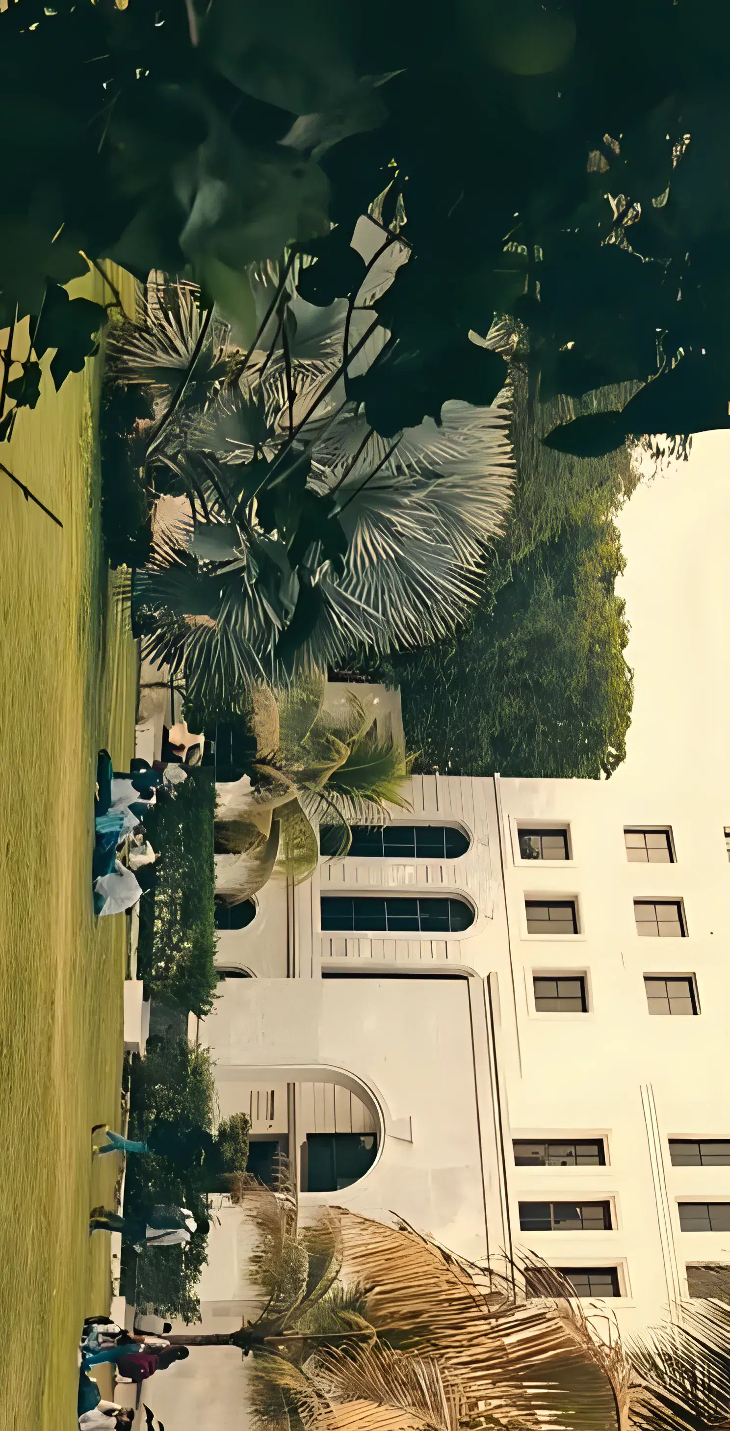 CSMSS College of Engineering sports photo 6